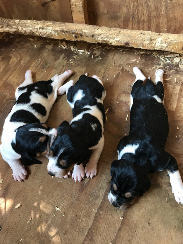 1E009482-5C7C-4F23-8ED1-356FB096B441