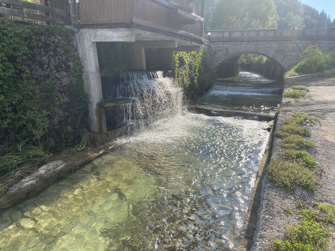 56804CA0-4356-42A1-86A7-34B660887C5E