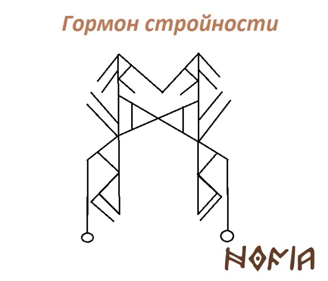 Гормон стройности, автор Nofia Sa-aaa10