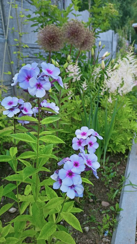 IMG20220710205017