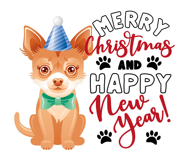 Chihuahua happy new year