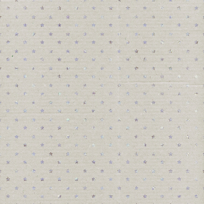 PS-MeloVrijhof-AK-PP-Neutral-Stars