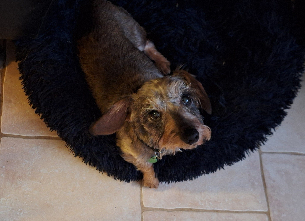 [Image: 20251122-200002.jpg]