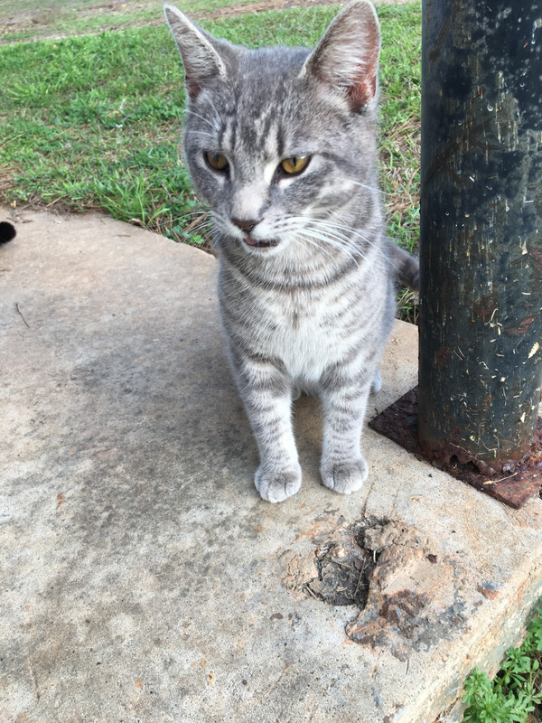 0A4919CE-8D72-4F06-B37B-87B37972A166