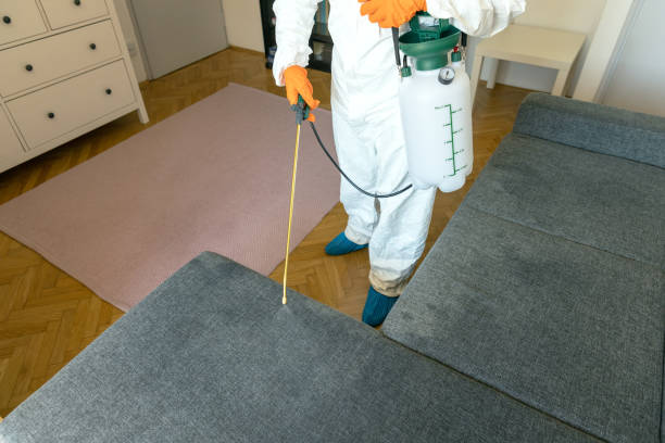 pest-control-(17).jpg