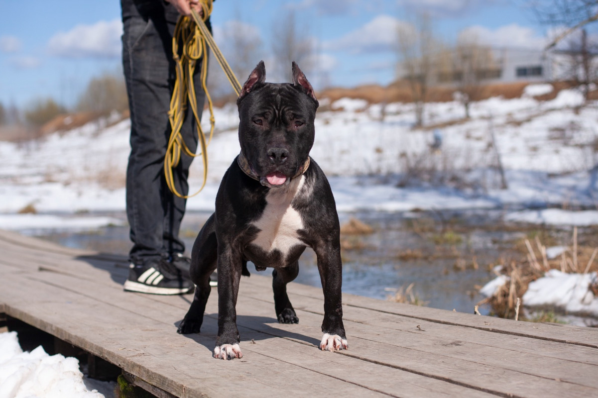 WhatsApp Image 2025-04-20 at 17.03.38 (2)