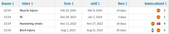 Screenshot-2024-07-18-at-23-56-34-Rasmus-H-jlund-Injury-history-Transfermarkt.png