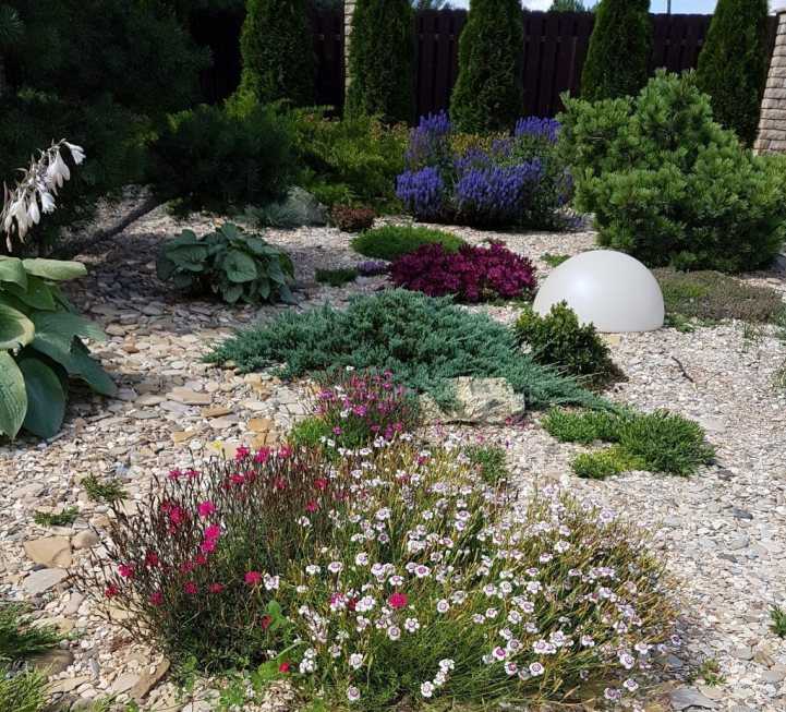 Рокарии в саду оригинальная идея для оформления газона и цветников.