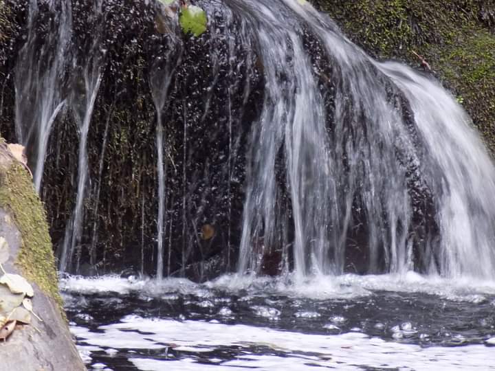 FB_IMG_1604176540496