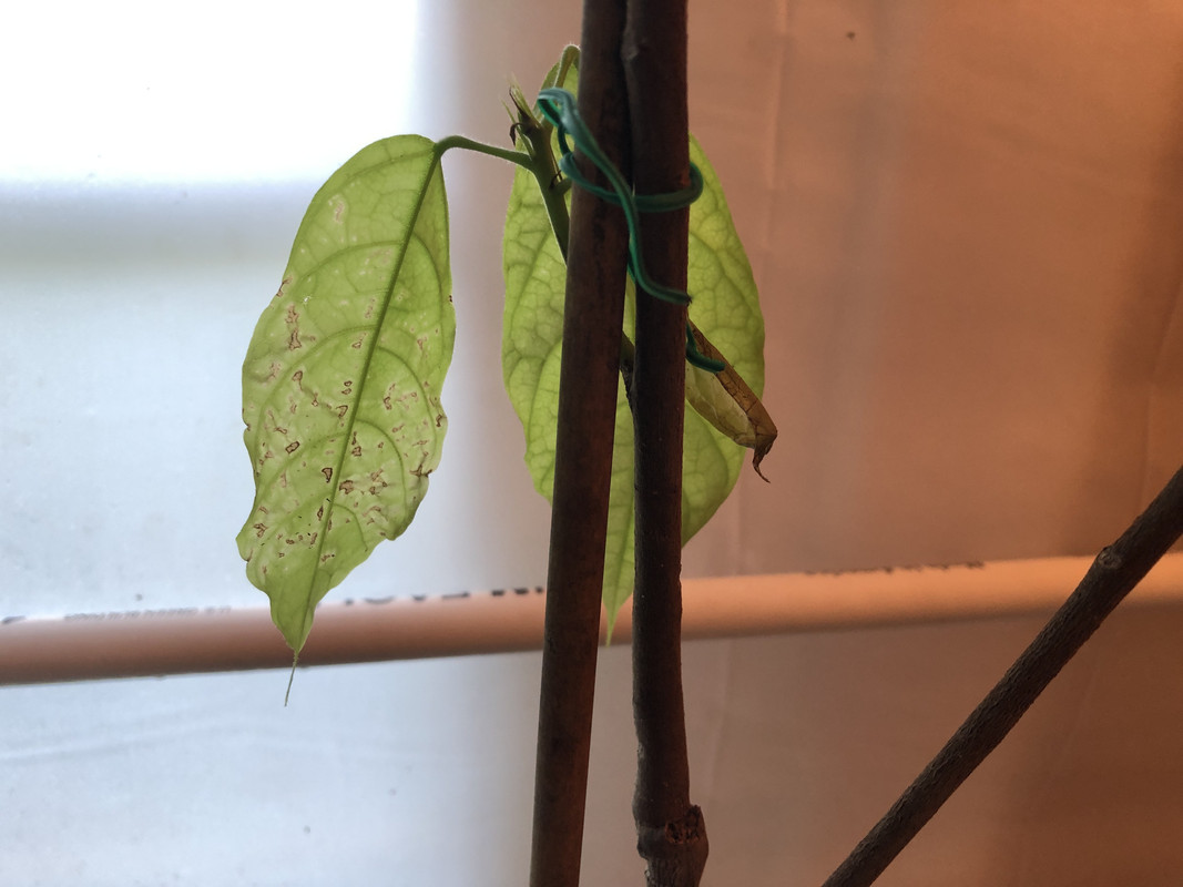 A106F644-6303-4F2D-AC93-FBF8F1FB7E10