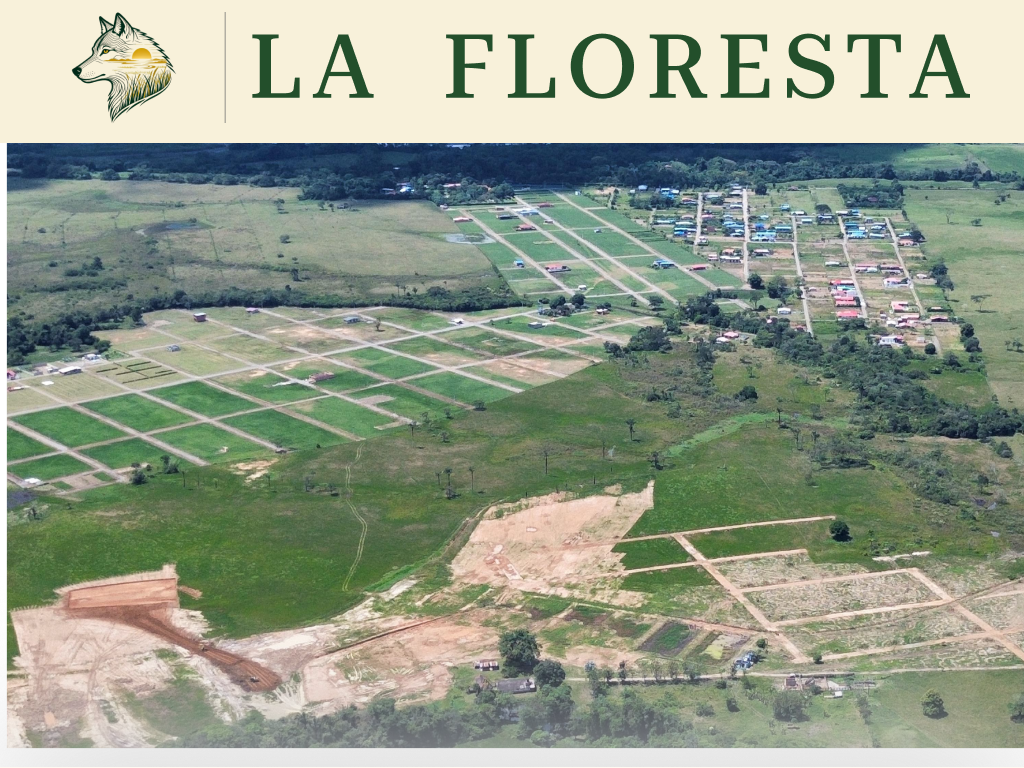 Lotes delimitados con certeza