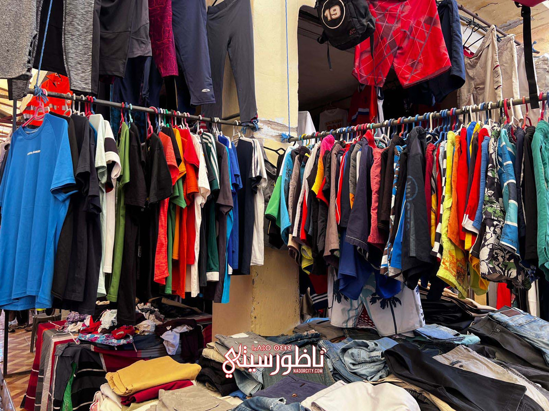 WhatsApp Image 2024-07-08 at 19.02.56 (1)