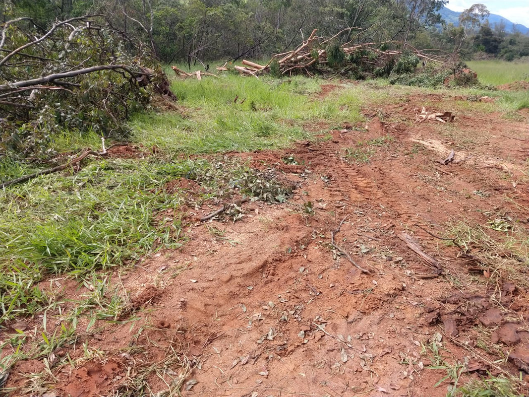 WhatsApp Image 2020-01-31 at 15.50.18 (3)