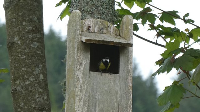 38D20263-F2C9-4E1E-88D4-06C1048D0D71