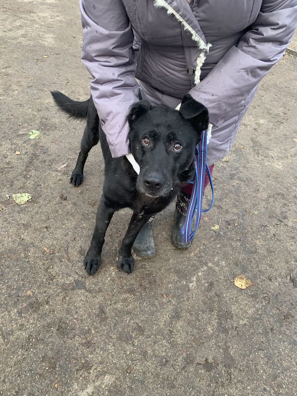 71F30F50-C9ED-4A82-9727-16BC168600FB