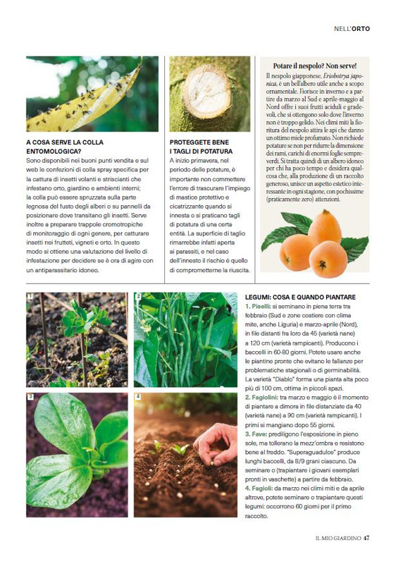 il mio Giar Feb-Mar 2025 (6)