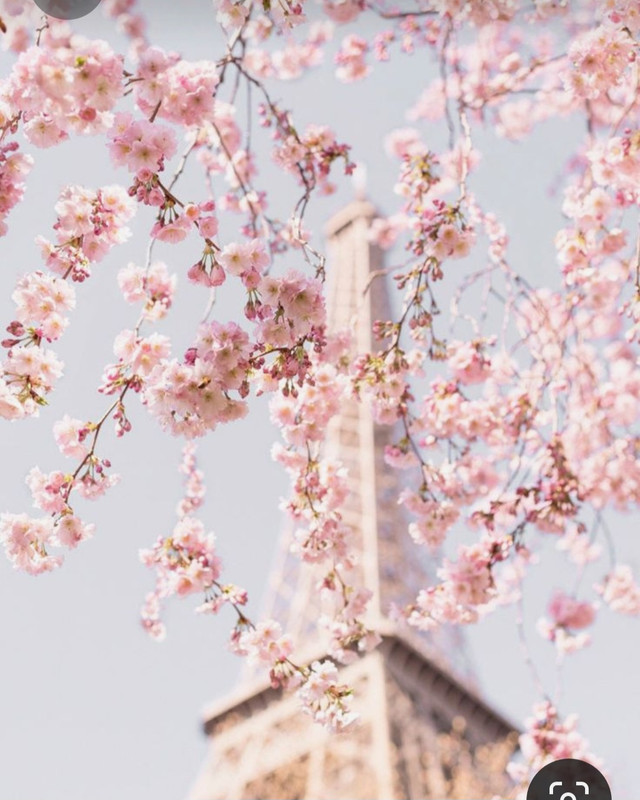 Screenshot_20230324_235251_Pinterest