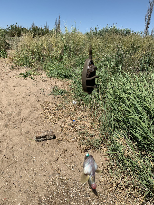 61A81D1E-D2A6-41C6-BB6B-EB038B7FCBF7