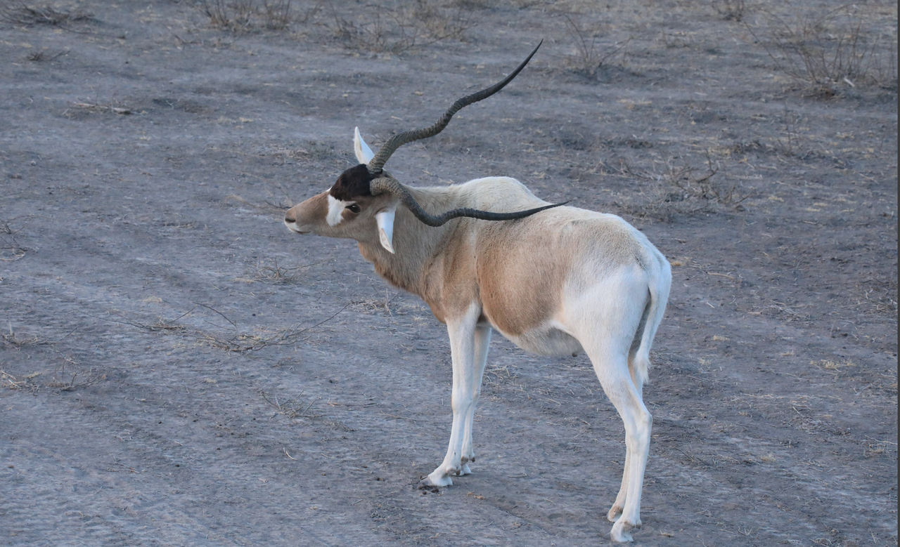 Screen Shot 2026 03 04 at 4 46 16 PM