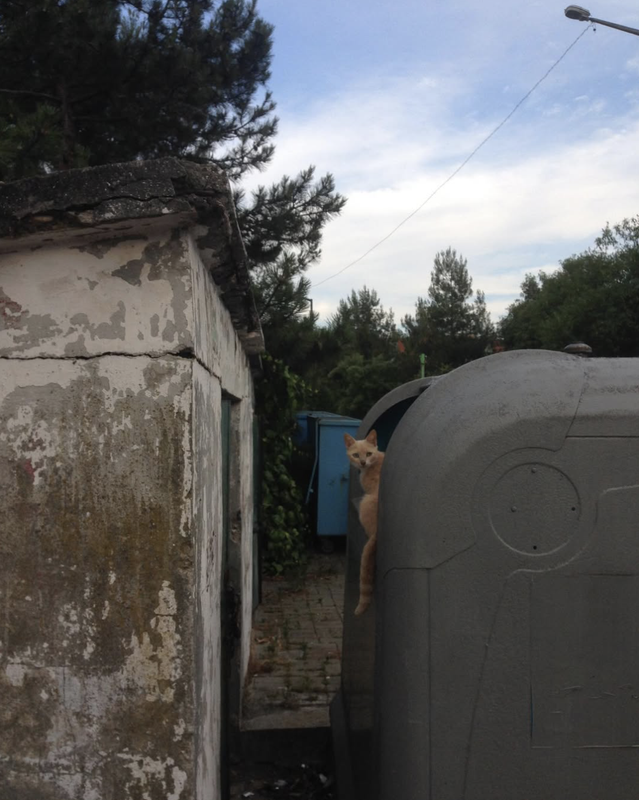 Screenshot 2025 11 01 at 09 08 41