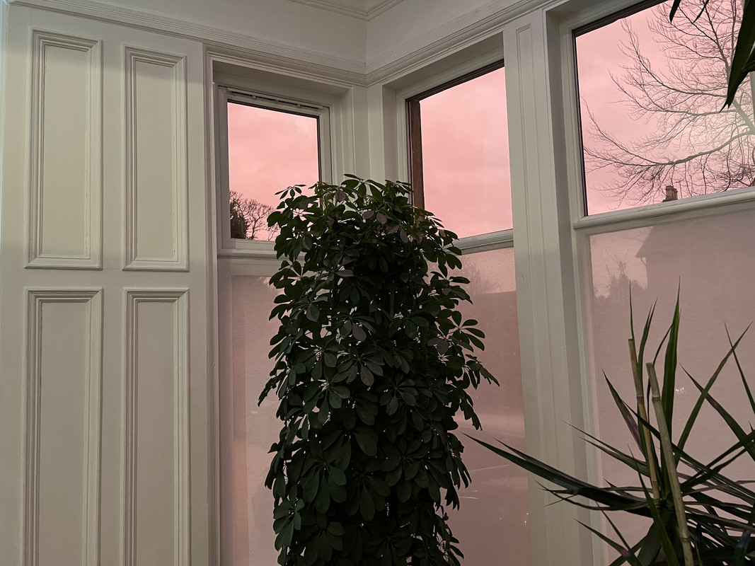 573B7CEA-FE69-4507-8F42-55D0356070D0