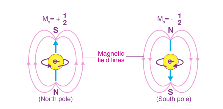 Spin and Magnetism