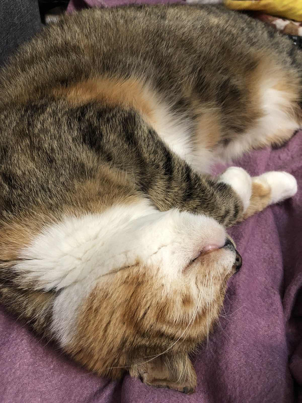 8F73C51A-696C-47B1-8CCD-30847F4D41E3