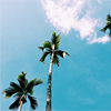 Icons-Neu-124