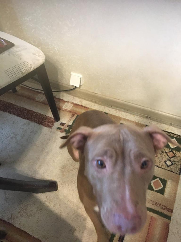 446EA02E-E431-45F9-93C4-FD2C66B5C725