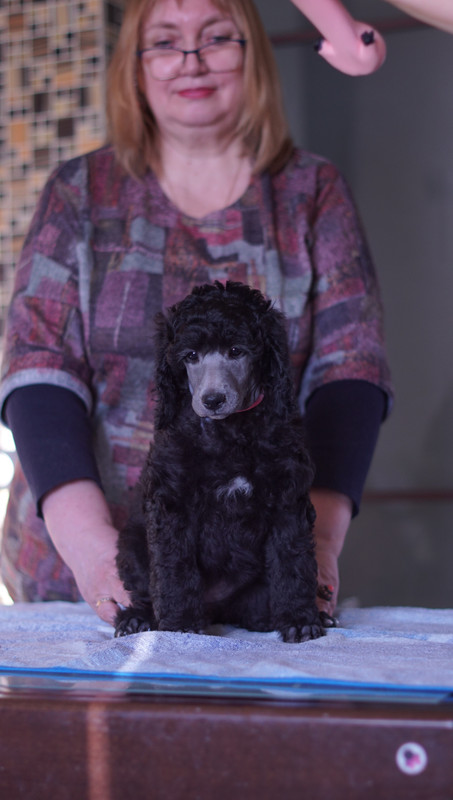 1236E9E0-37EC-4B25-8AEE-710B39C8A283