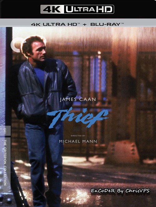 Złodziej / Thief (1981) MULTI.Directors.Cut.HDR.DoVi.Hybrid.2160p.BDRemux.DTS.HD.MA.AC3-ChrisVPS / LEKTOR i NAPISY