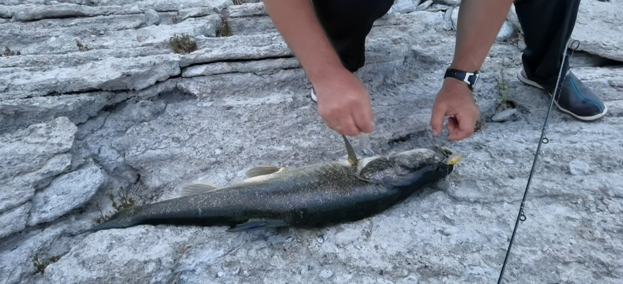 Screenshot_20220721_234134