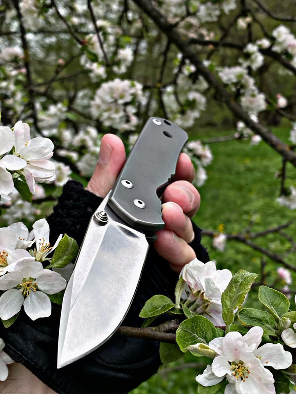 007D1B15-DF19-4CBF-9974-31703A2E400C