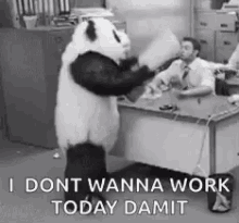 angry-panda.gif