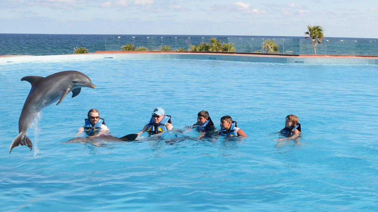 Hotel Grand Sirenis Riviera Maya - Foro Riviera Maya y Caribe Mexicano