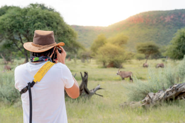 safari en Tanzania