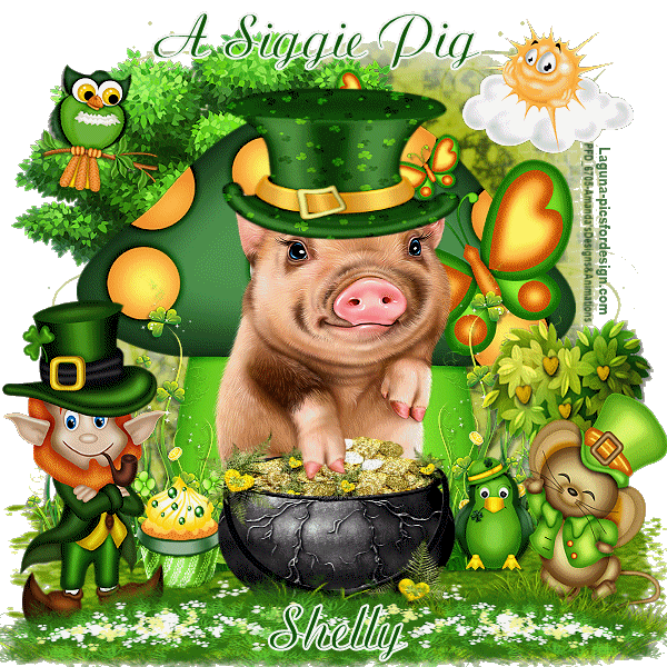 20-Laguna-St-Pat-Sig-Pig1-Shelly