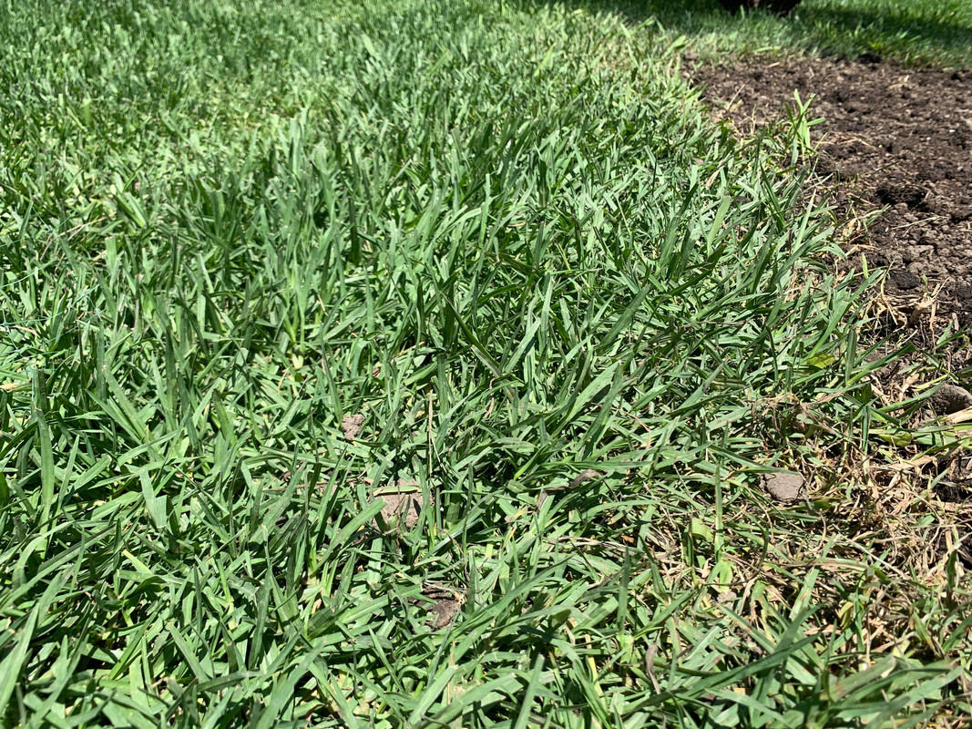 F4205ED4-82A1-44D5-9F09-219C7C591DBB