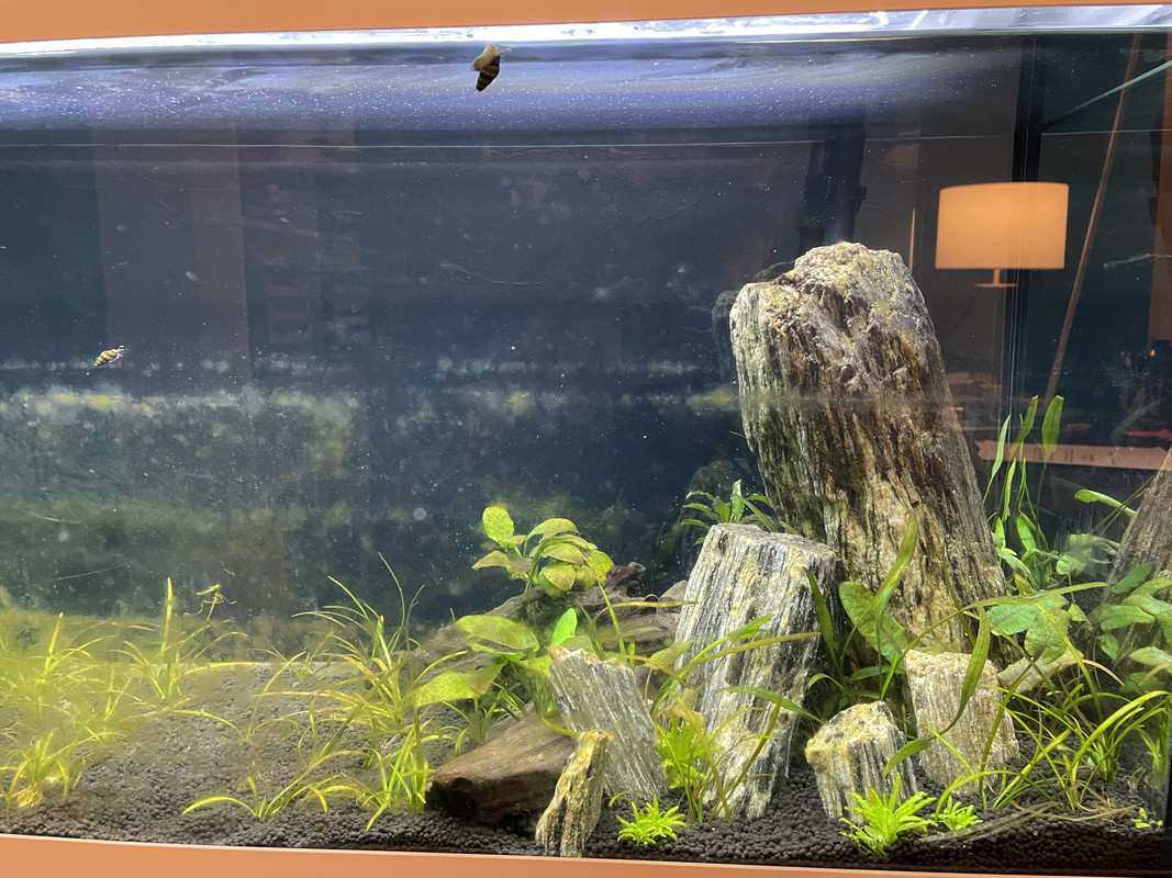 C9605699-D1B1-4390-99C4-7E477A94F3F0