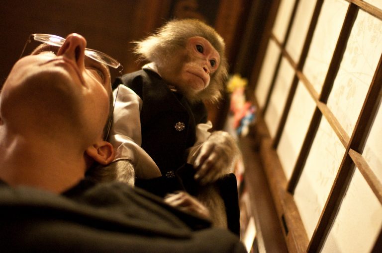 Особый сервис: необычное кафе с макаками в роли официантов