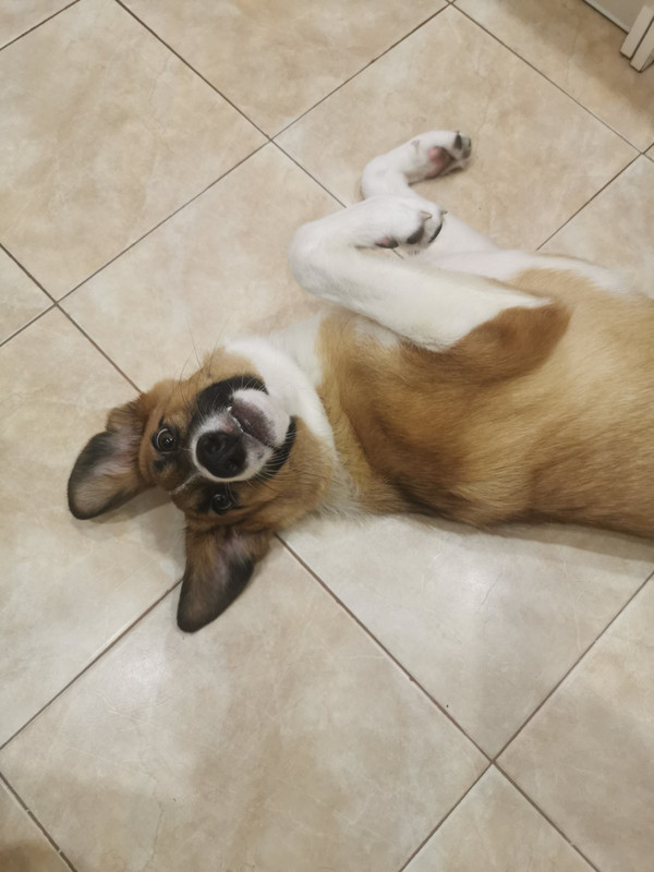 изображение_viber_2022-01-12_14-40-06-842