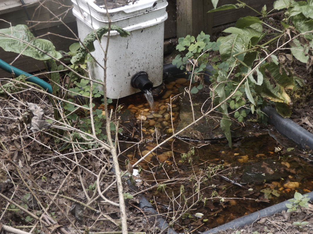 DSCF7431.jpg