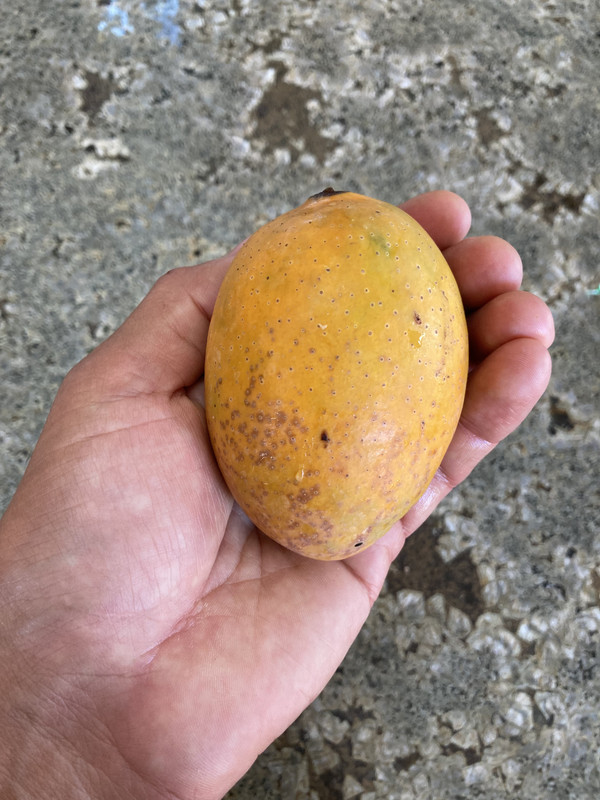 D88A7FDC-6C25-41F5-96AF-F9A9D408B465