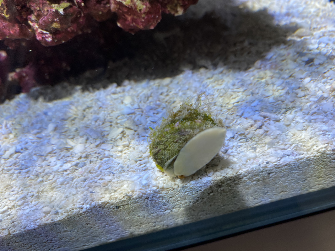 47B7C960-A7EA-4EE2-A51D-01F876F0E72F