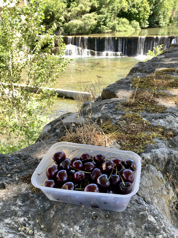 E5B64E10-592B-440F-89F9-F3E5D985E99E