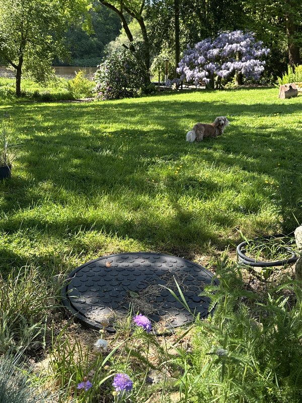 [Image: IMG-4789.jpg]