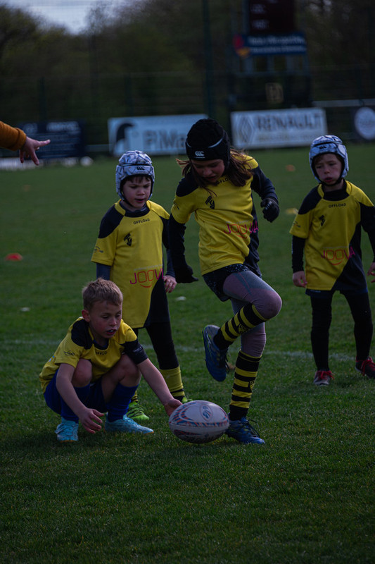 tournoi-de-latlantique-2026-adonis-griffon-68-55181289356-l