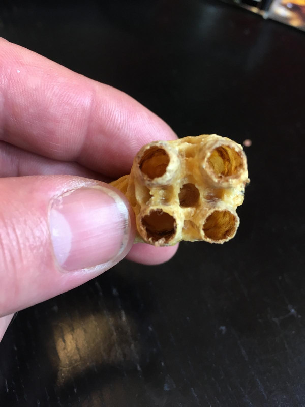 C02C04B1-EC7C-4019-9D3B-FFDF988B59BB