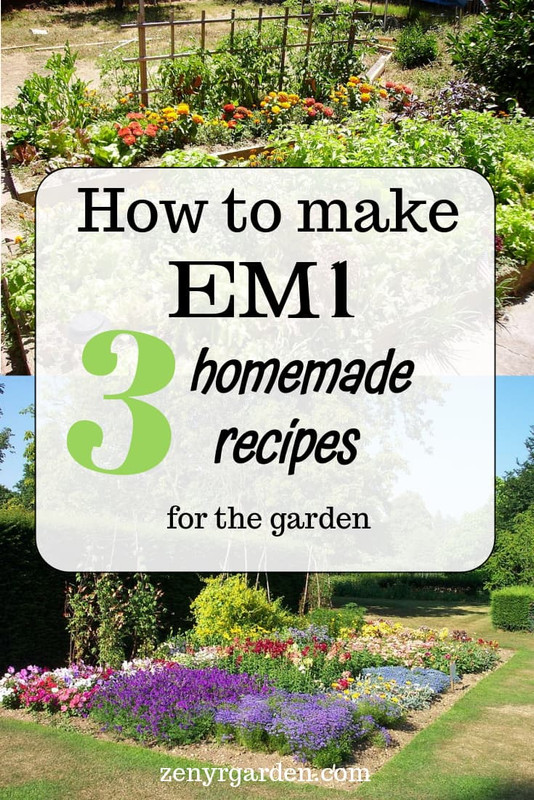 how-to-make-em1-effective-microorganism-pin.jpg