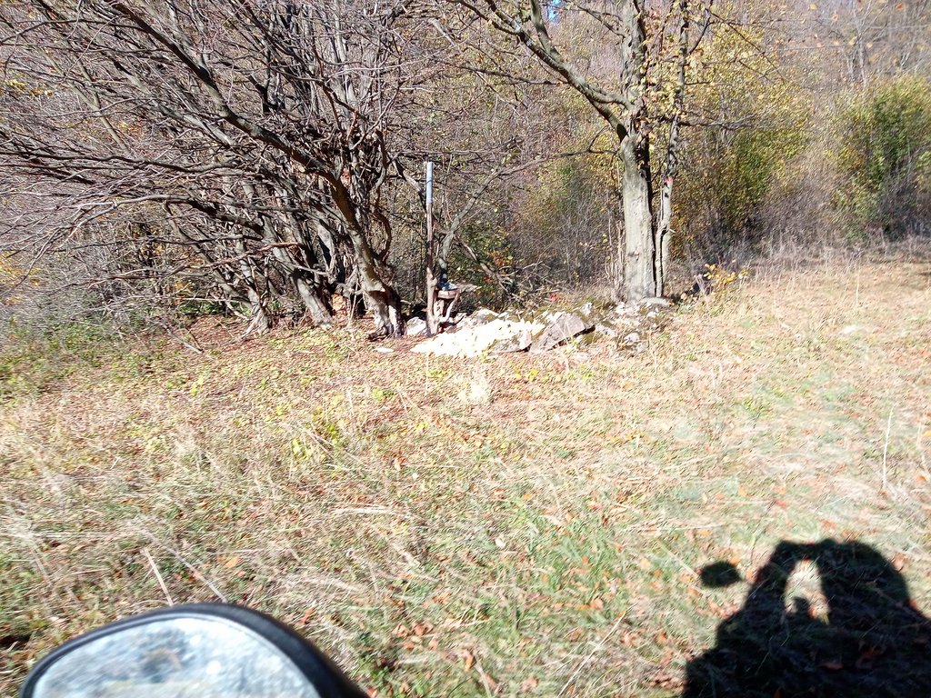 IMG-20231109-114857-4.jpg
